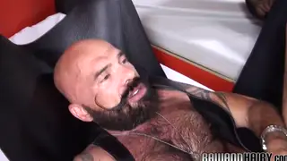 Hairy Bear Takes a Mature Wolf Raw from Behind