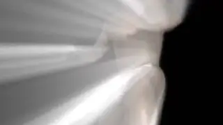 Amateur Stud Shows Off Big Cock and Round Ass