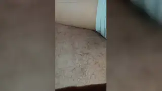 Curvy Arab Wife Delivers a Slow Blowjob