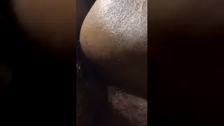 Asian Bear Takes Raw Cock in POV Close-Up