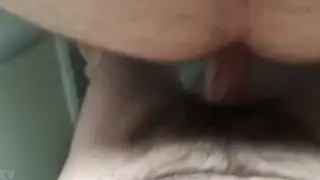 Two Hairy Bears Trade Deep Blowjobs