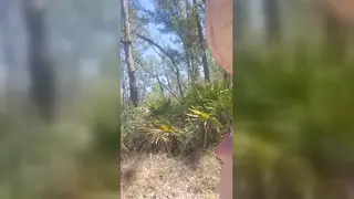 Solo Guy Strokes to Explosion in the Woods