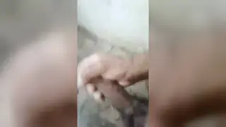 Amateur Strokes His Cock to a Quick Finish