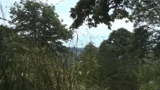 Voluptuous Employee Sucks Cock Outdoors