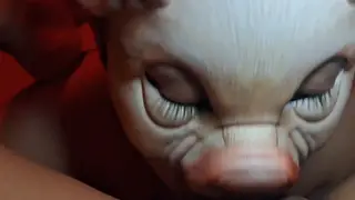 Curvy Partner Submits to Dominant Ride and Doggystyle