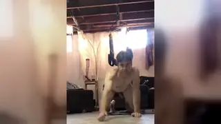 Gaping Ass Stretched by Huge Dildos on a Sex Swing