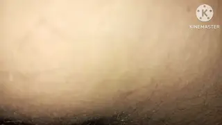 Indian Blonde Wife Enjoys 69 and Oral