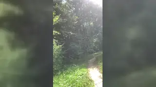 Hairy Bear Strokes Uncut Cock Outdoors to Explosive Finish