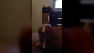Solo Guy Strokes His Heavy Shaft on Camera
