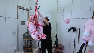 Curvy Sub Bound and Anally Stretched With Toys