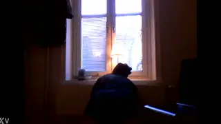 Twink Shows Off His Juicy Ass in Solo Tease