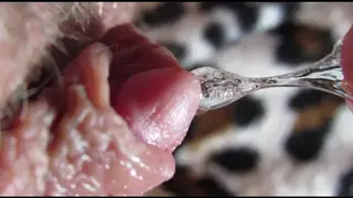 Amateur Babe Rubs Her Swollen Clit to Shaking Orgasm