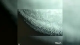 Latino Guy Gives Neighbour a Quick Blowjob