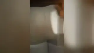 Arab Teen Takes Anal in Homemade Step-Fantasy Clip