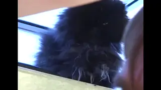 Blonde Teen Gives Vintage Bathroom Blowjob
