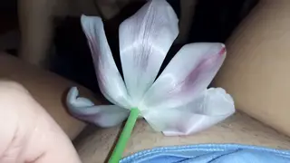 Girlfriend Experiments With Pussy Licking and Cum-in-Mouth Finish in POV