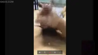 Asian Student Pleasures Himself on Live Stream