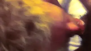 Muscular Hunk Gets His Thick Cock Worshipped