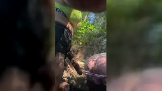 Tattooed Domme Pegs Submissive Guy Deep in Forest