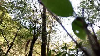 Amateur Exhibitionist Edges Herself Outdoors