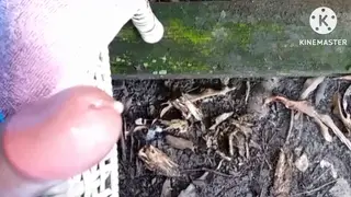 Asian Stud Works His Big Cock Outdoors With Oil and Bondage