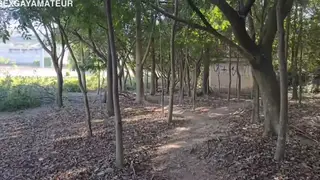 Latino Takes Eight Raw Cocks on a Forest Trail