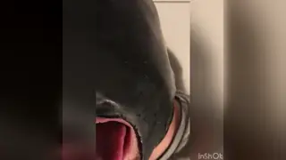 Group of Men Unload Cum on Face and Into Mouth