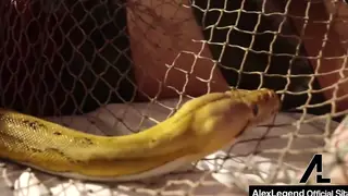 Blonde Cosplayer Deepthroats and Takes Cumshot