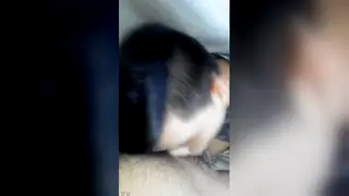 Latino Gives a Deep Blowjob to a Straight Guy