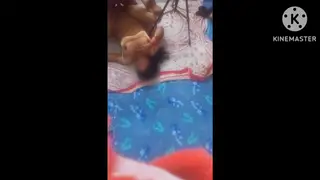 Busty Indian Girlfriend Takes Doggystyle and Mouthful