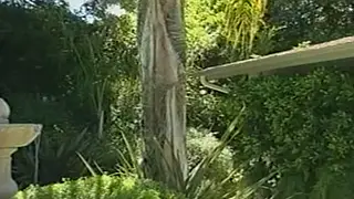 Hairy Vintage Bear Claims Smooth Teen in Slow Session
