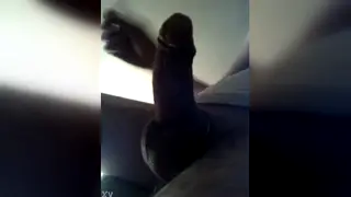 Amateur Clip Captures a Brief Home Encounter
