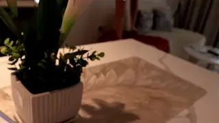 Busty Stepmom Bends Over the Counter While Her Husband Watches