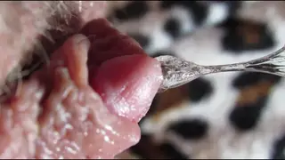 Close-Up Captures Huge Clit Pulsing Orgasm