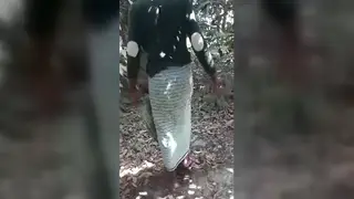 Asian Hunk Cruises Outdoors for Bareback with Mature Partner