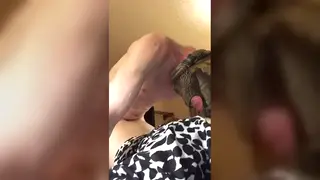 Femboy Takes a Hard Pounding in Hotel Room