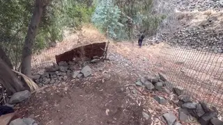 Mature Man Takes a Massive Bareback Cock