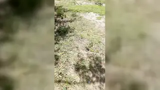 Petite Latina Enjoys Secret Countryside Quickie