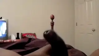 Solo Guy Stroking His Cock on Camera