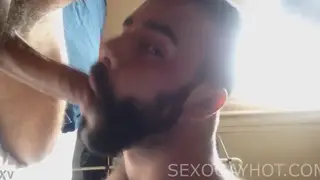 Hairy Bear Gives Deep Blowjob to Muscular Partner