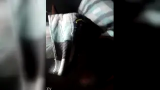 Amateur Guy Strokes Alone in Quick Solo Session