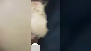 Arab Cuckold Husband Watches Wife Dominate with Pissing Play