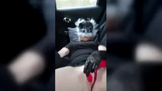 Solo Woman Pleasures Herself With Toys in a Car