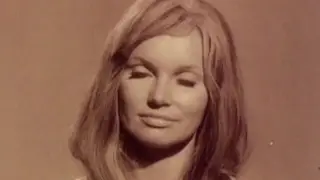Hairy Vintage Compilation Showcases 1970s Erotic Cinema