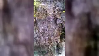 Friends Turn Group Sex Into Wild Orgy