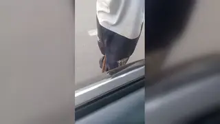 Latino Teen Sucks Big Cock on the Street