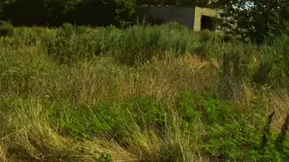 Couple Enjoys Oral Fun During Outdoor Bike Stop