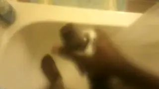 Black Amateur Strokes Big Cock Under the Shower