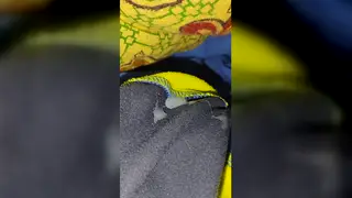 Inked Asian Trio Marks Holiday With Piss and Play