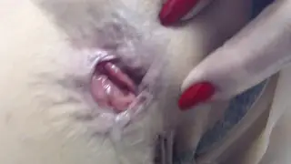 Tattooed Voluptuous MILF Swallows After Anal and Rimming